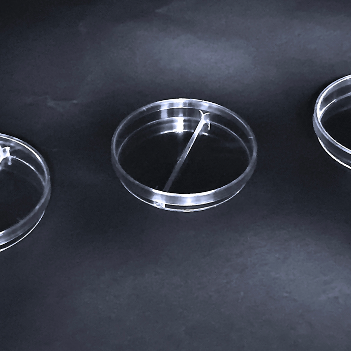 Petri Dishes  Ø90 mm triple vents 2 sectors