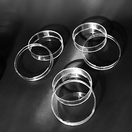 Petri Dishes  Ø60 mm without vents